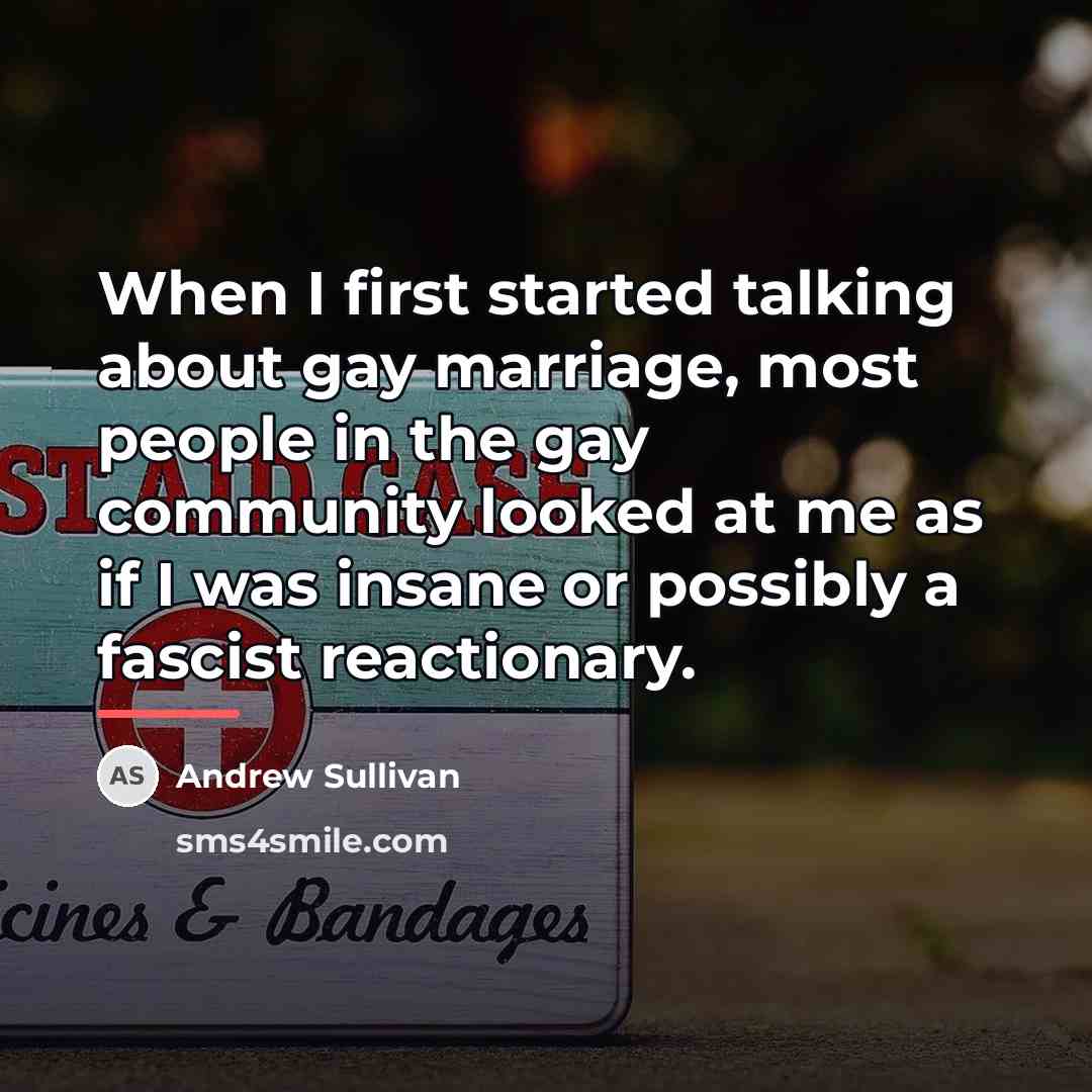 “When I first started talking about gay marriage, most people…” quote by Andrew Sullivan