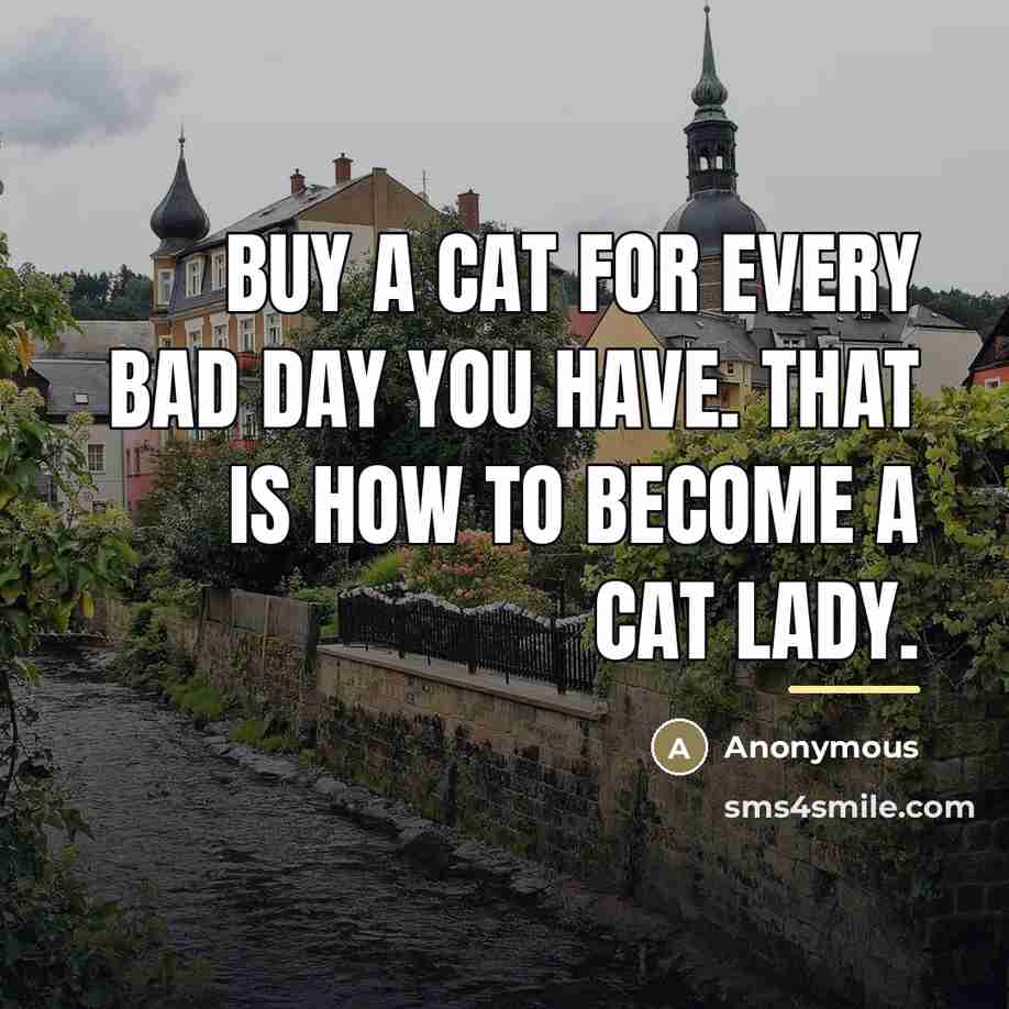 “Buy a cat for every bad day you have. That…” quote by Anonymous