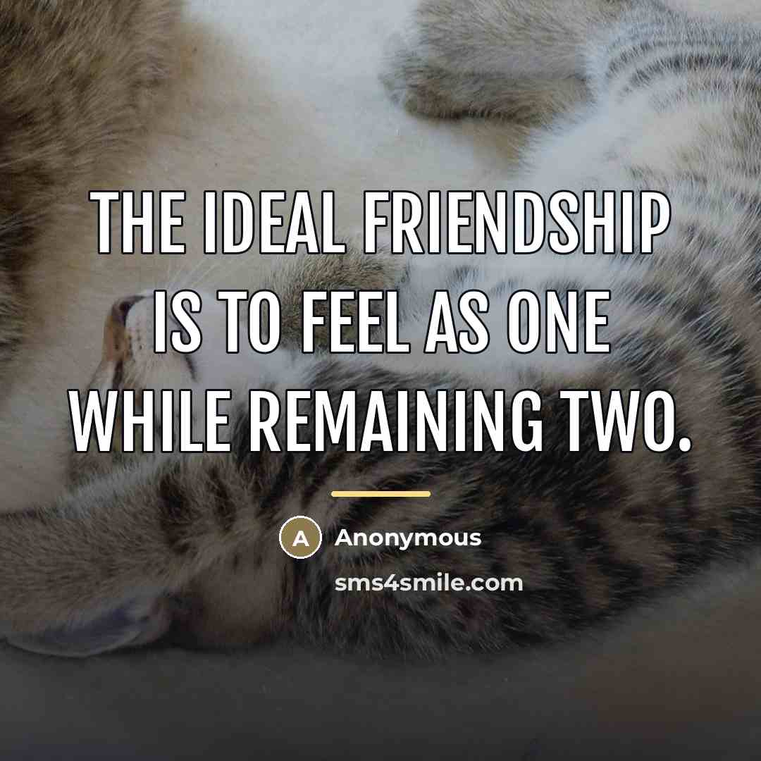 “The ideal friendship is to feel as one while remaining…” quote by Anonymous