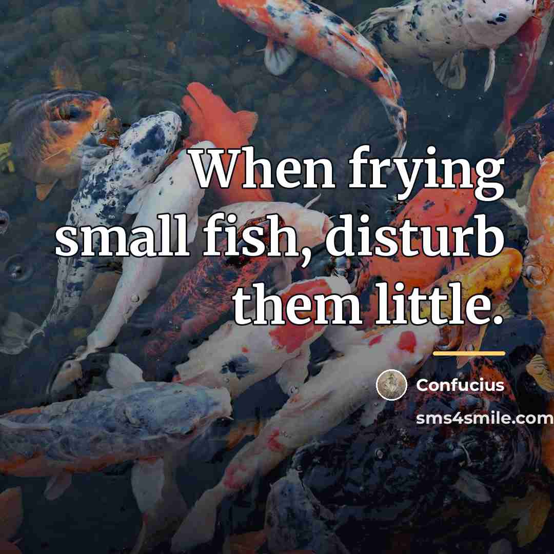 “When frying small fish, disturb them little.…” quote by Confucius