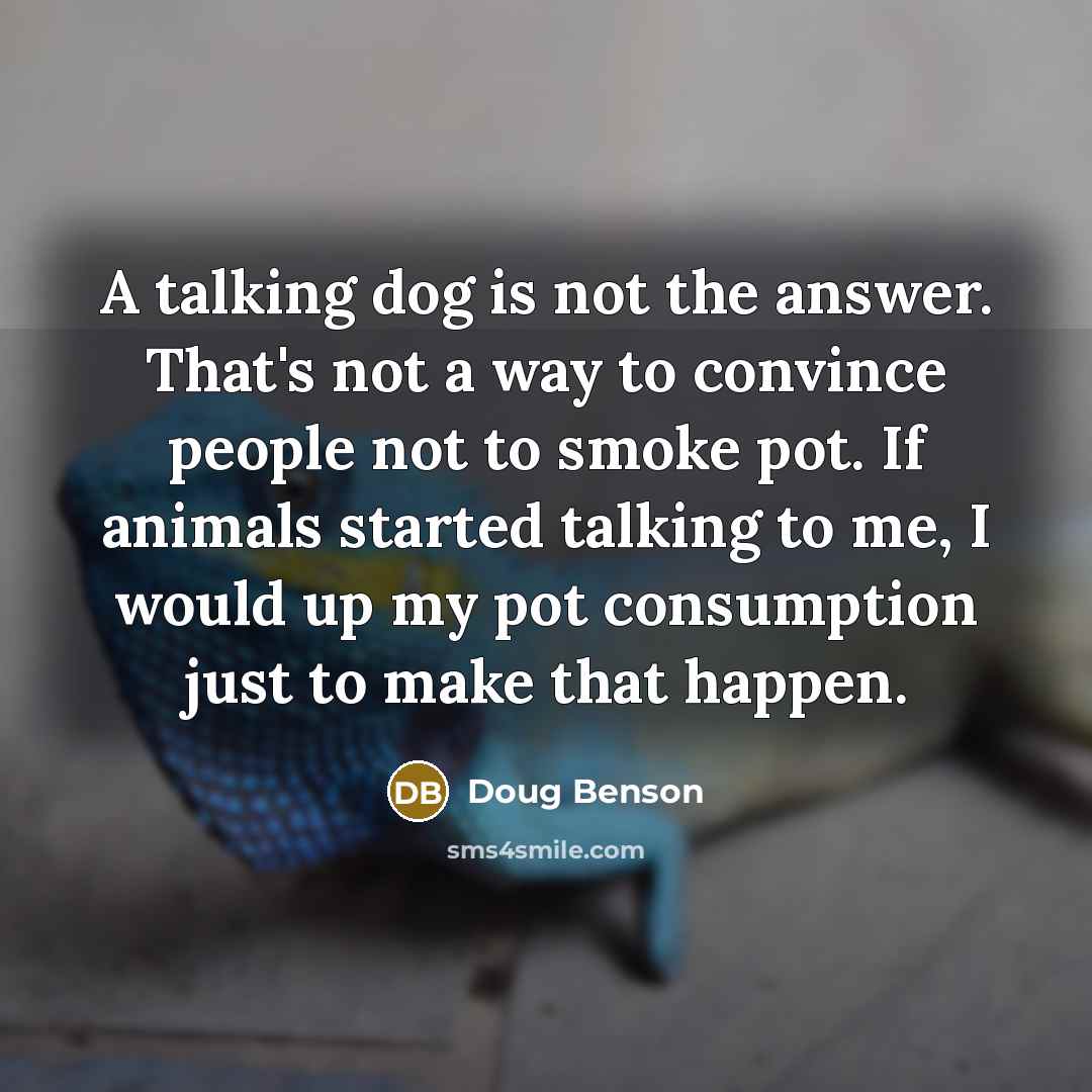 “A talking dog is not the answer. That's not a…” quote by Doug Benson