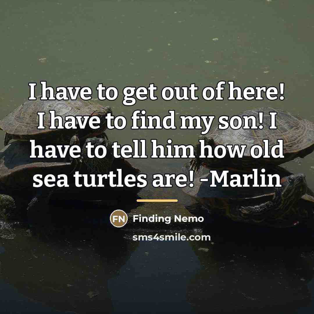“I have to get out of here! I have to…” quote by Finding Nemo