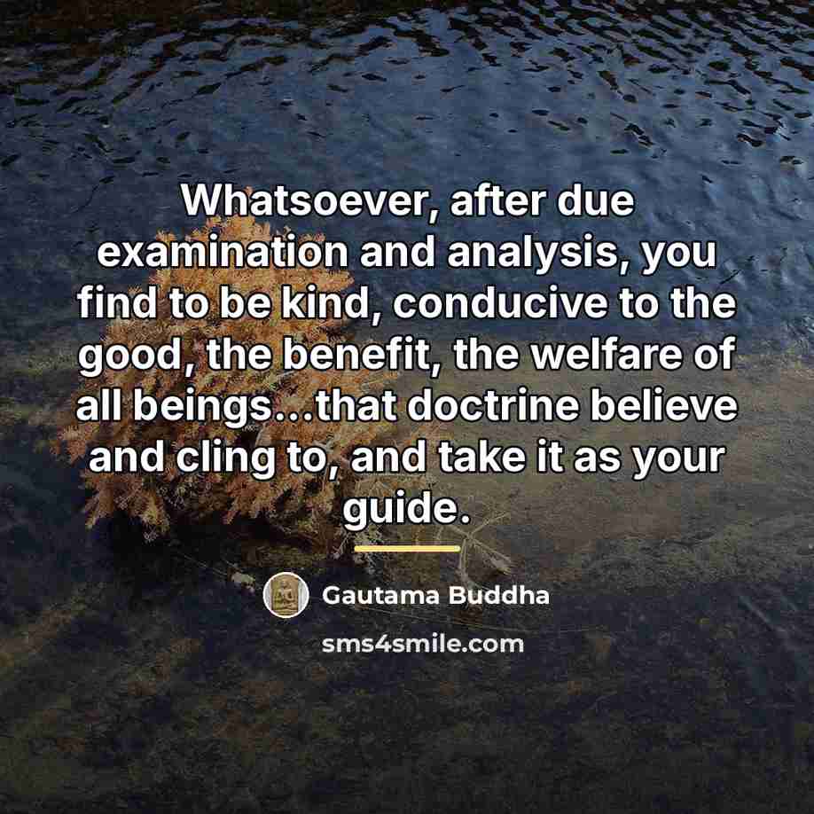 “Whatsoever, after due examination and analysis, you find to be…” quote by Gautama Buddha