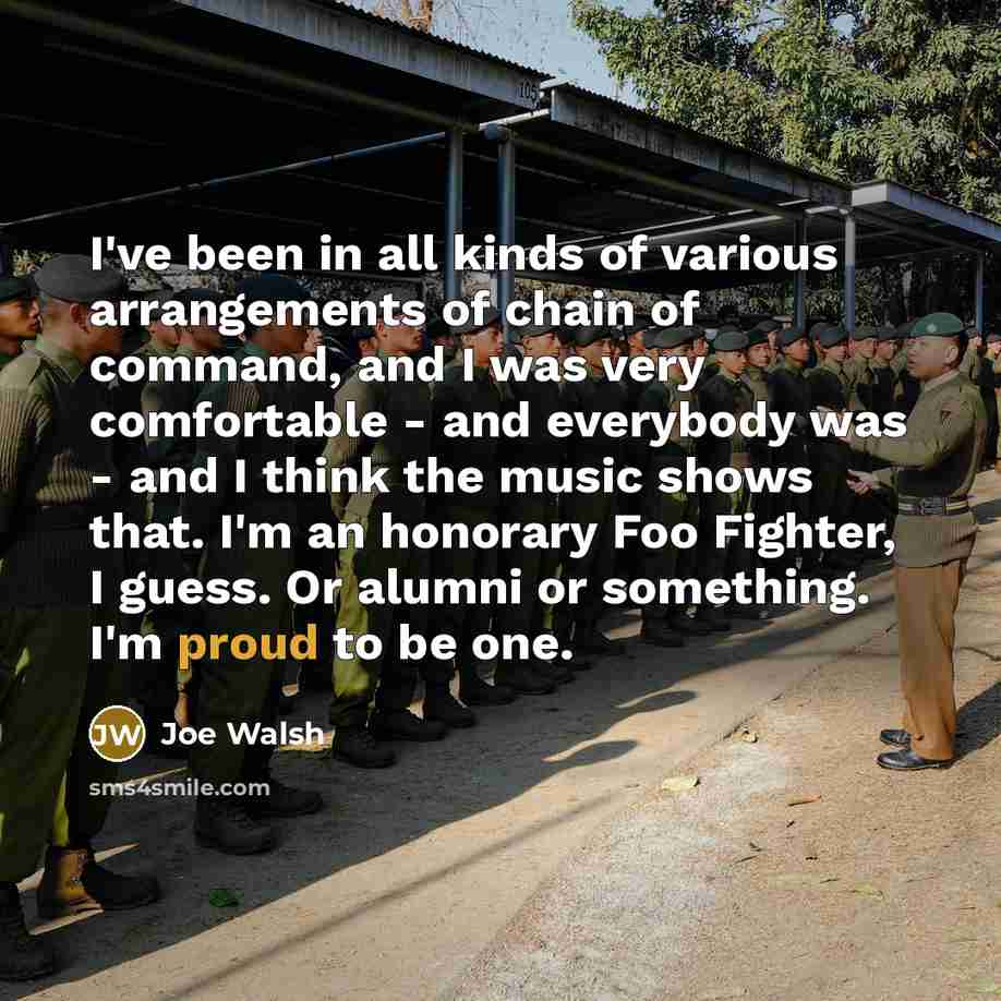 “I've been in all kinds of various arrangements of chain…” quote by Joe Walsh