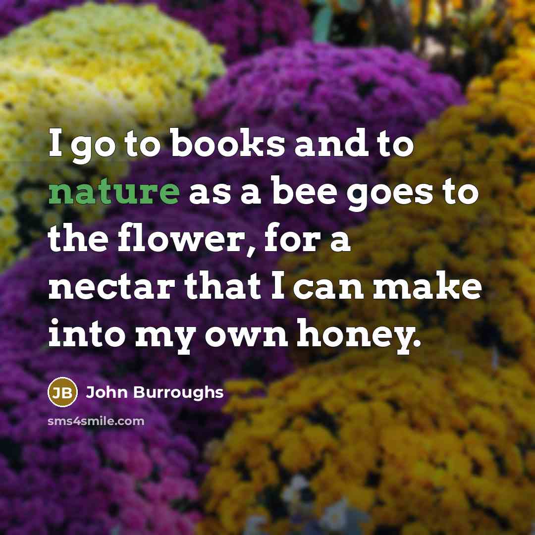 “I go to books and to nature as a bee…” quote by John Burroughs