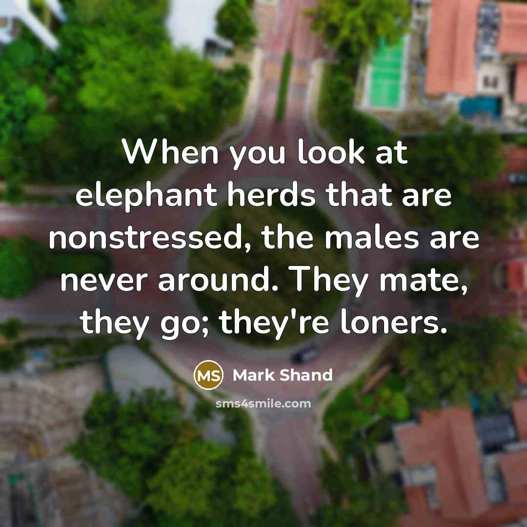 “When you look at elephant herds that are nonstressed, the…” quote by Mark Shand