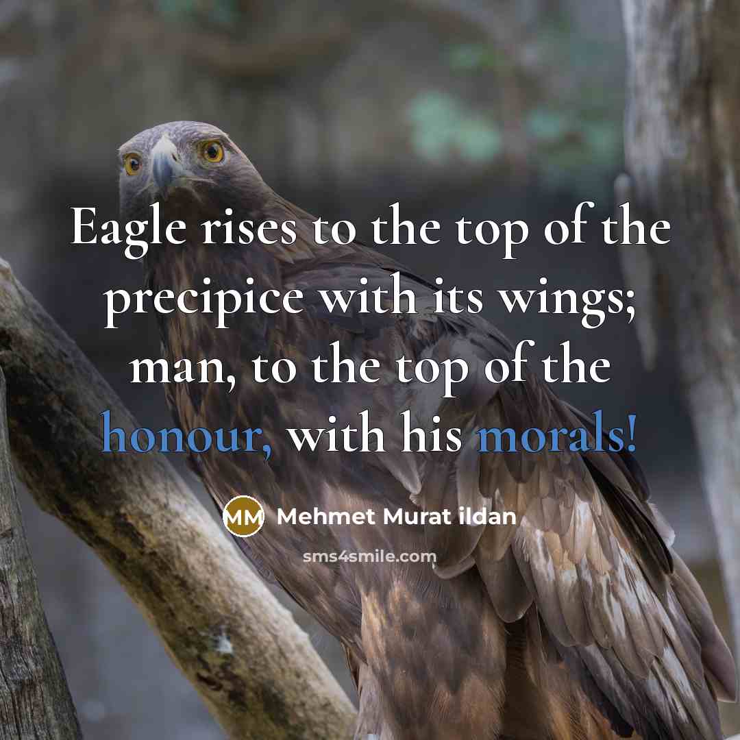 “Eagle rises to the top of the precipice with its wings; man, to the top of the honour, with his morals!” quote by Mehmet Murat Ildan