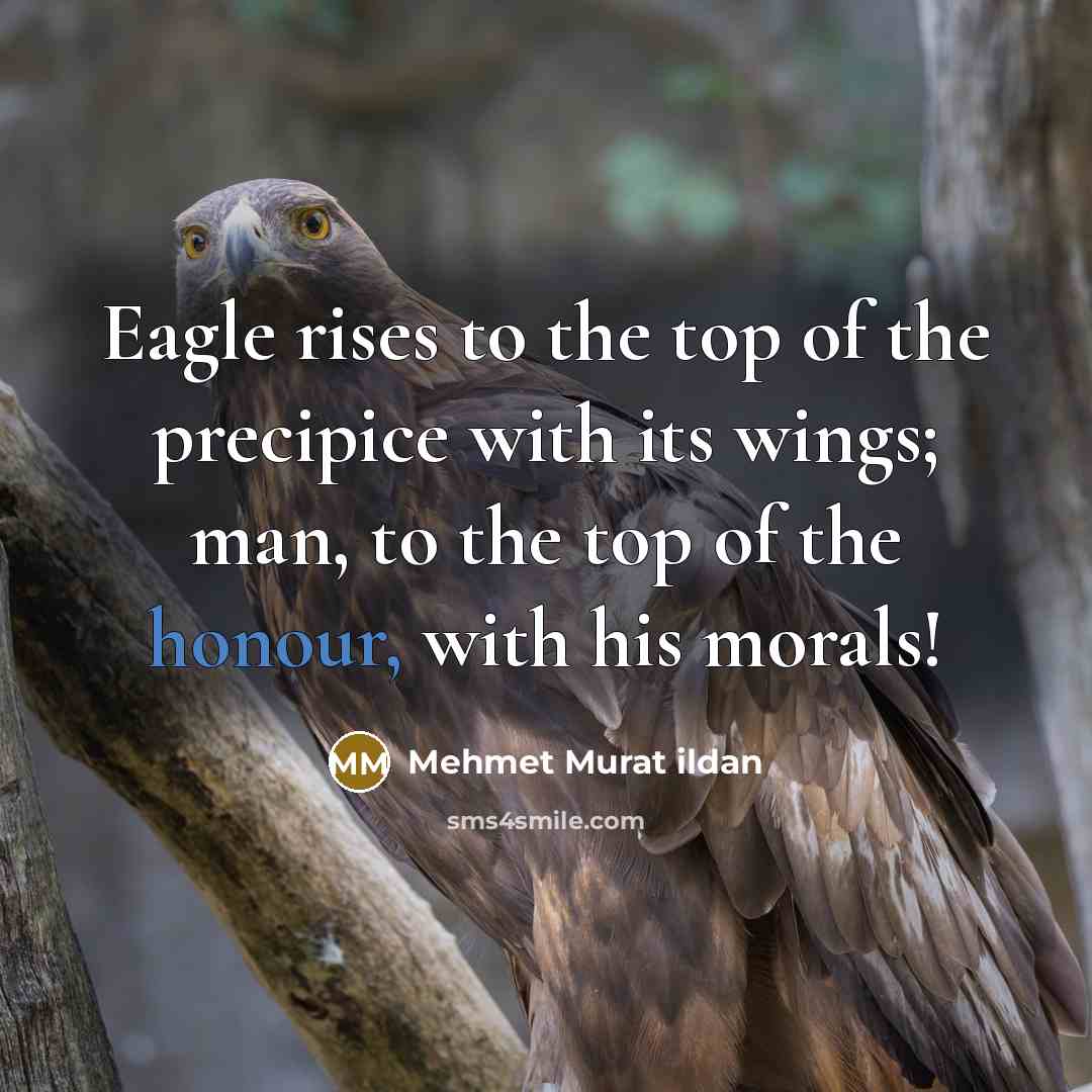 “Eagle rises to the top of the precipice with its…” quote by Mehmet Murat Ildan