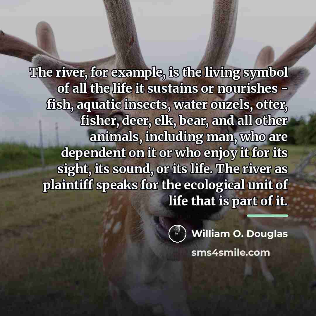 “The river, for example, is the living symbol of all…” quote by William O. Douglas