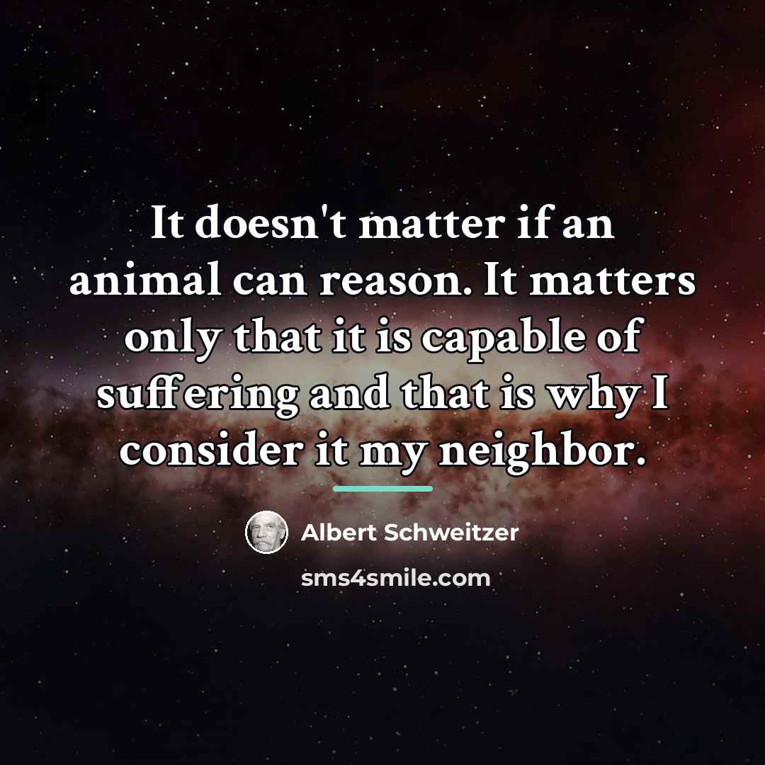 “It doesn't matter if an animal can reason. It matters…” quote by Albert Schweitzer