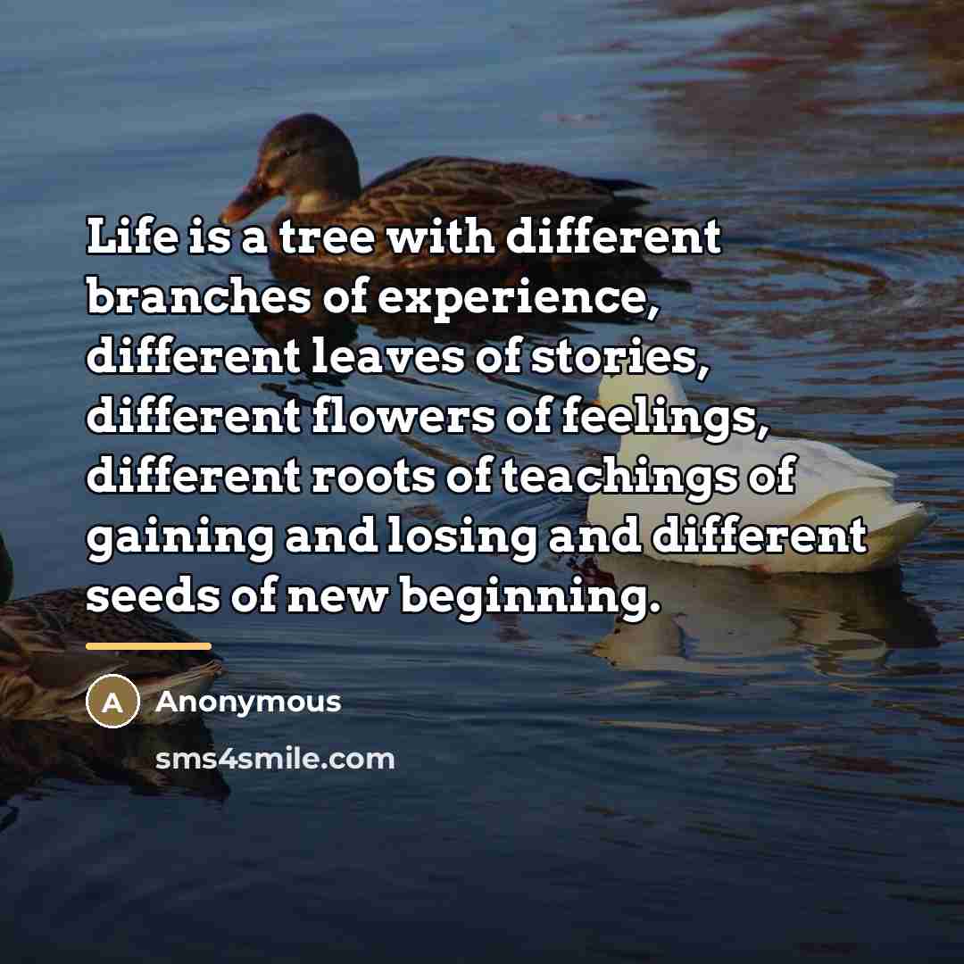“Life is a tree with different branches of experience, different…” quote by Anonymous