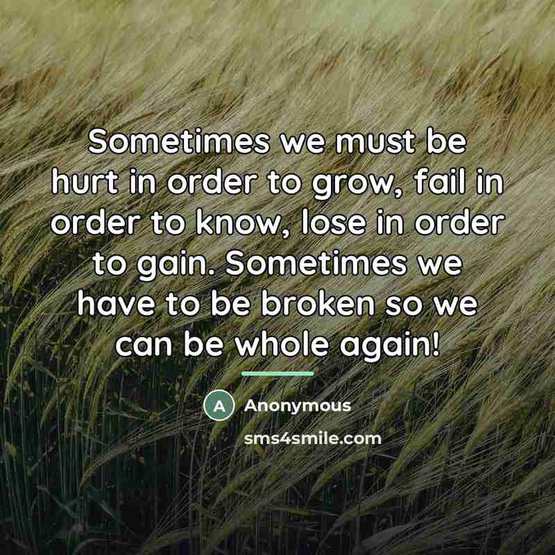 “Sometimes we must be hurt in order to grow, fail…” quote by Anonymous