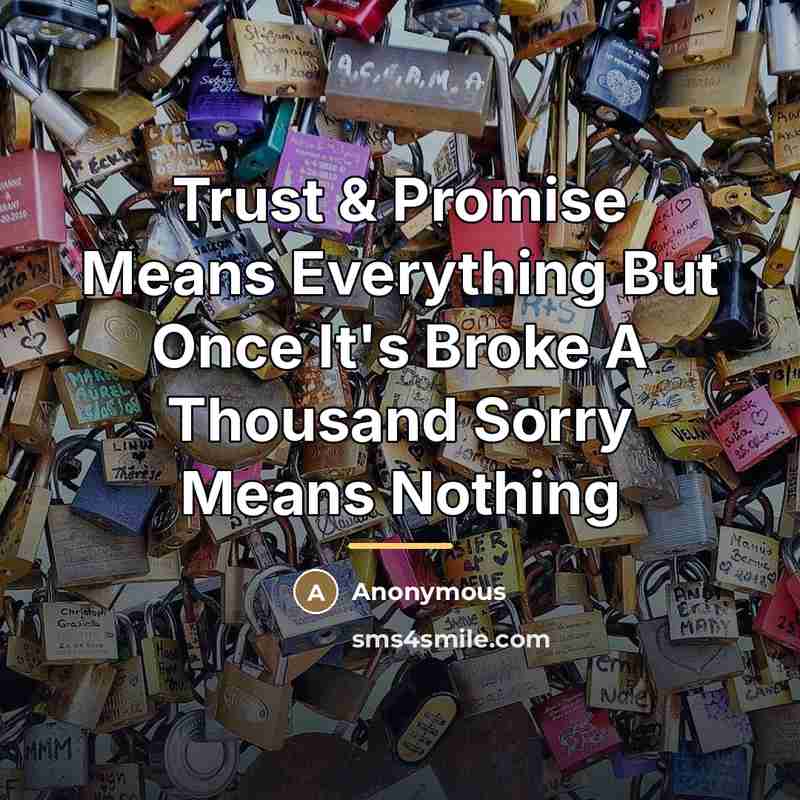 “Trust & Promise Means Everything But Once It's Broke A…” quote by Anonymous