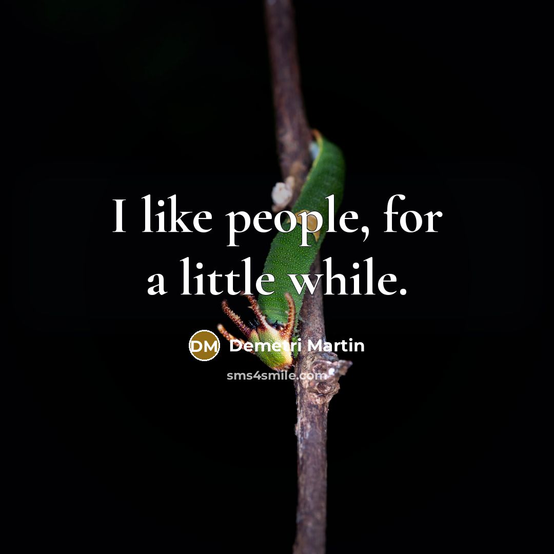 “I like people, for a little while.…” quote by Demetri Martin