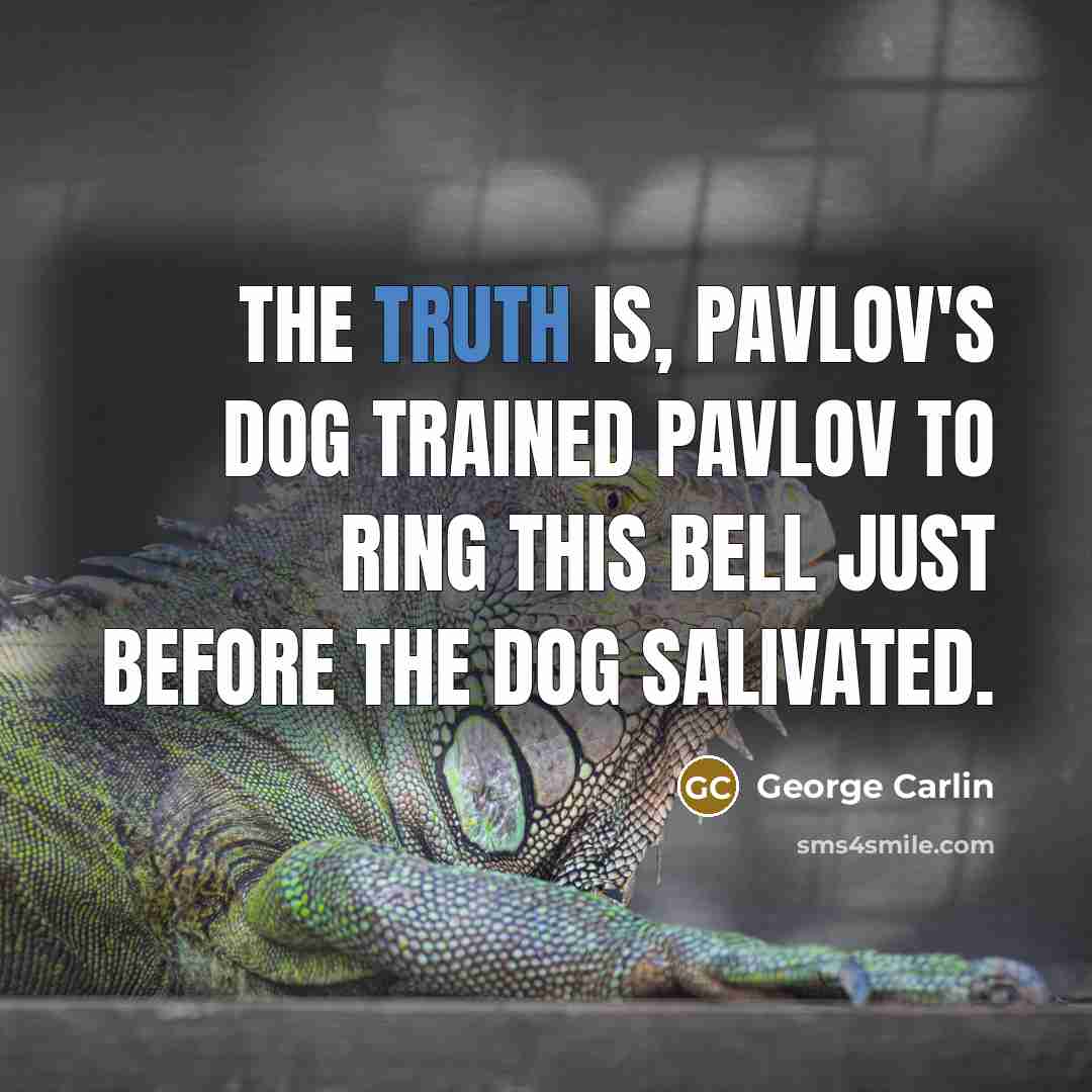 “The truth is, Pavlov's dog trained Pavlov to ring this bell just before the dog salivated.” quote by George Carlin