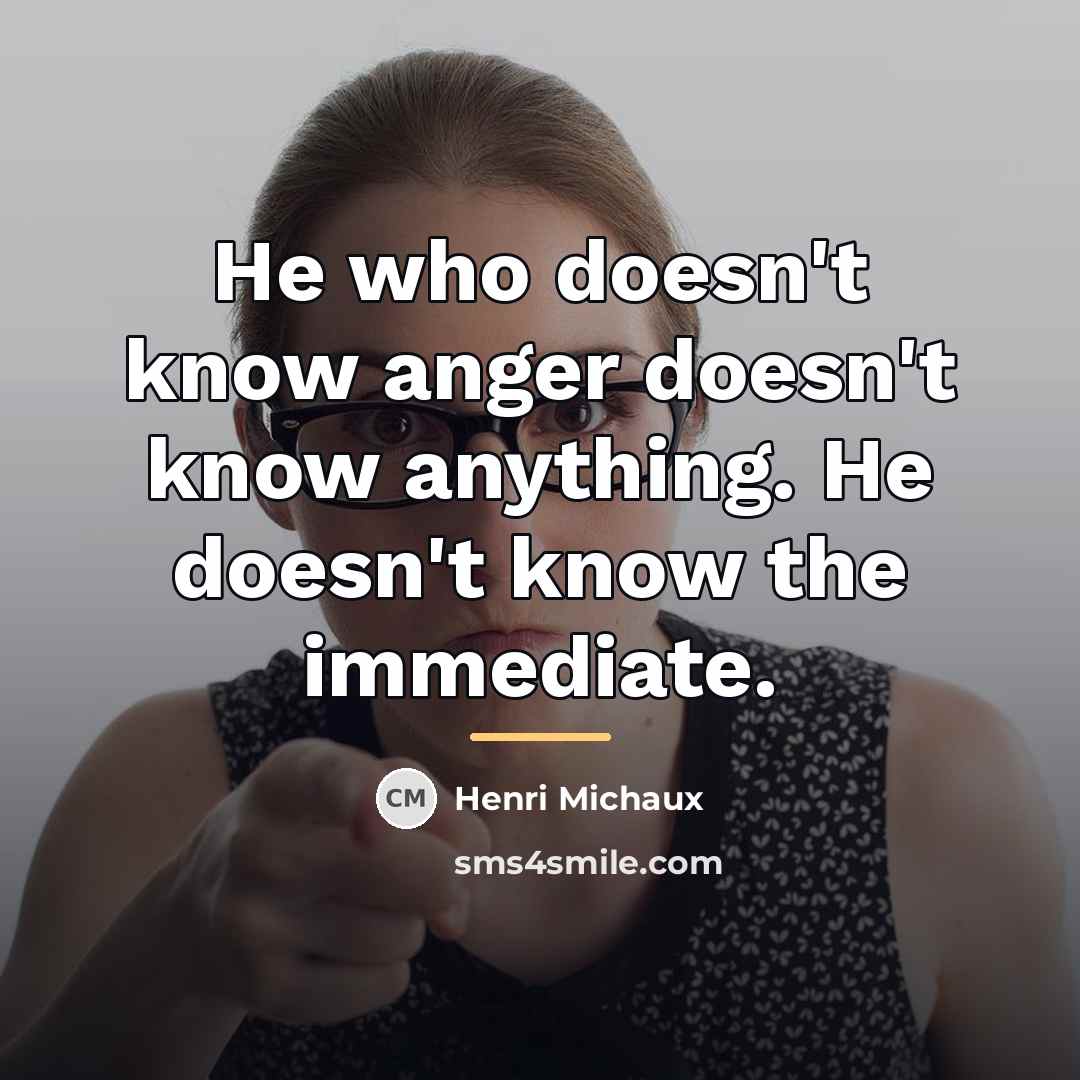“He who doesn't know anger doesn't know anything. He doesn't…” quote by Henri Michaux