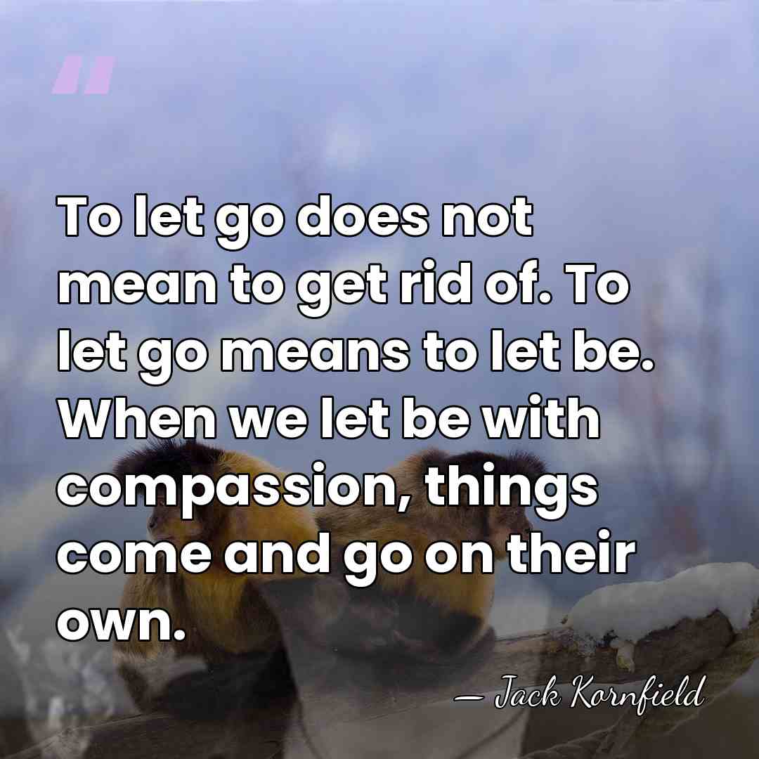 To let go does not mean to get rid of. To let&hellip; - Jack Kornfield