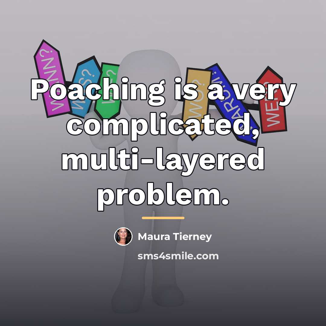 “Poaching is a very complicated, multi-layered problem.…” quote by Maura Tierney