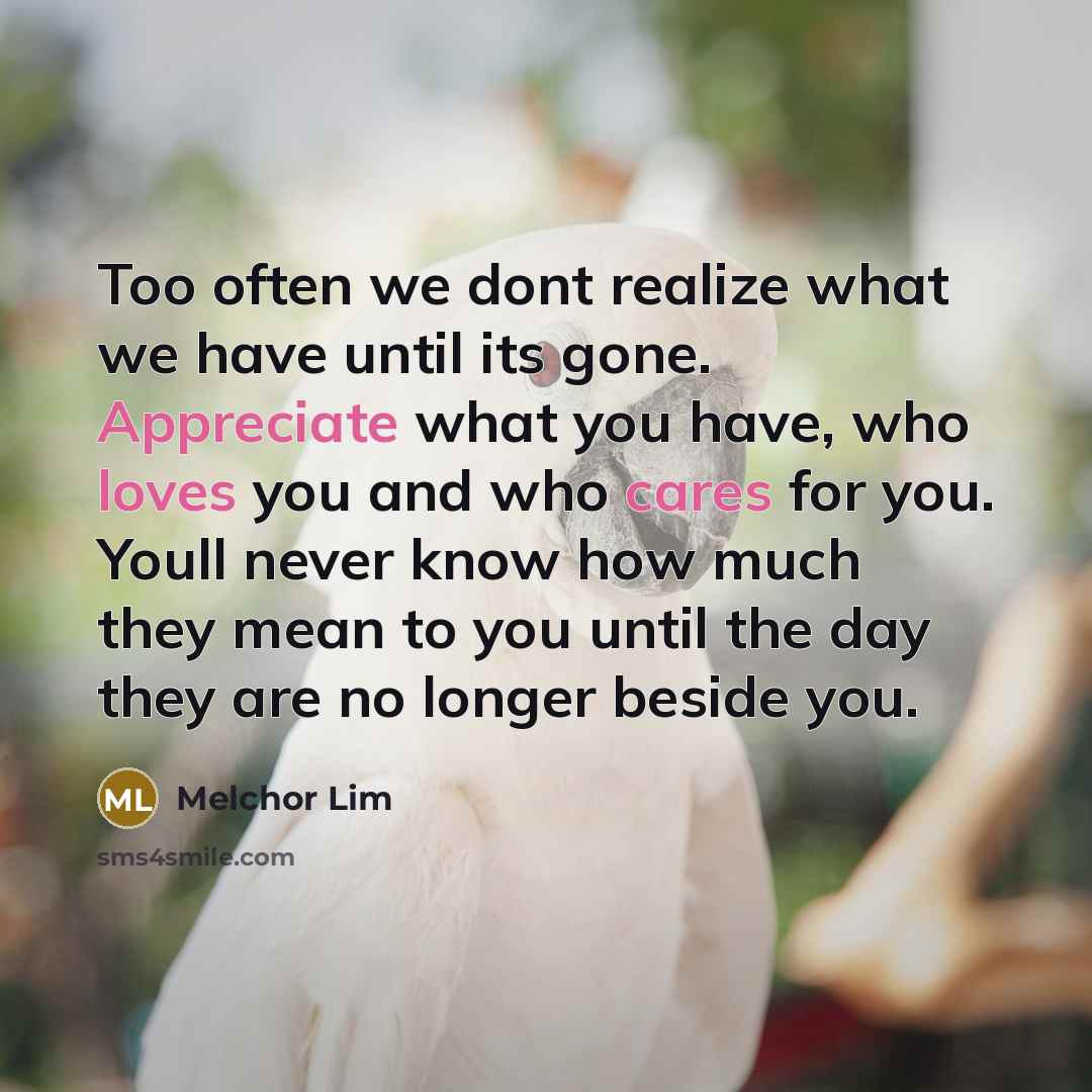 “Too often we dont realize what we have until its gone. Appreciate what you have, who loves you and who cares for you. Youll never know how much they mean to you until the day they are no longer beside you.” quote by Melchor Lim