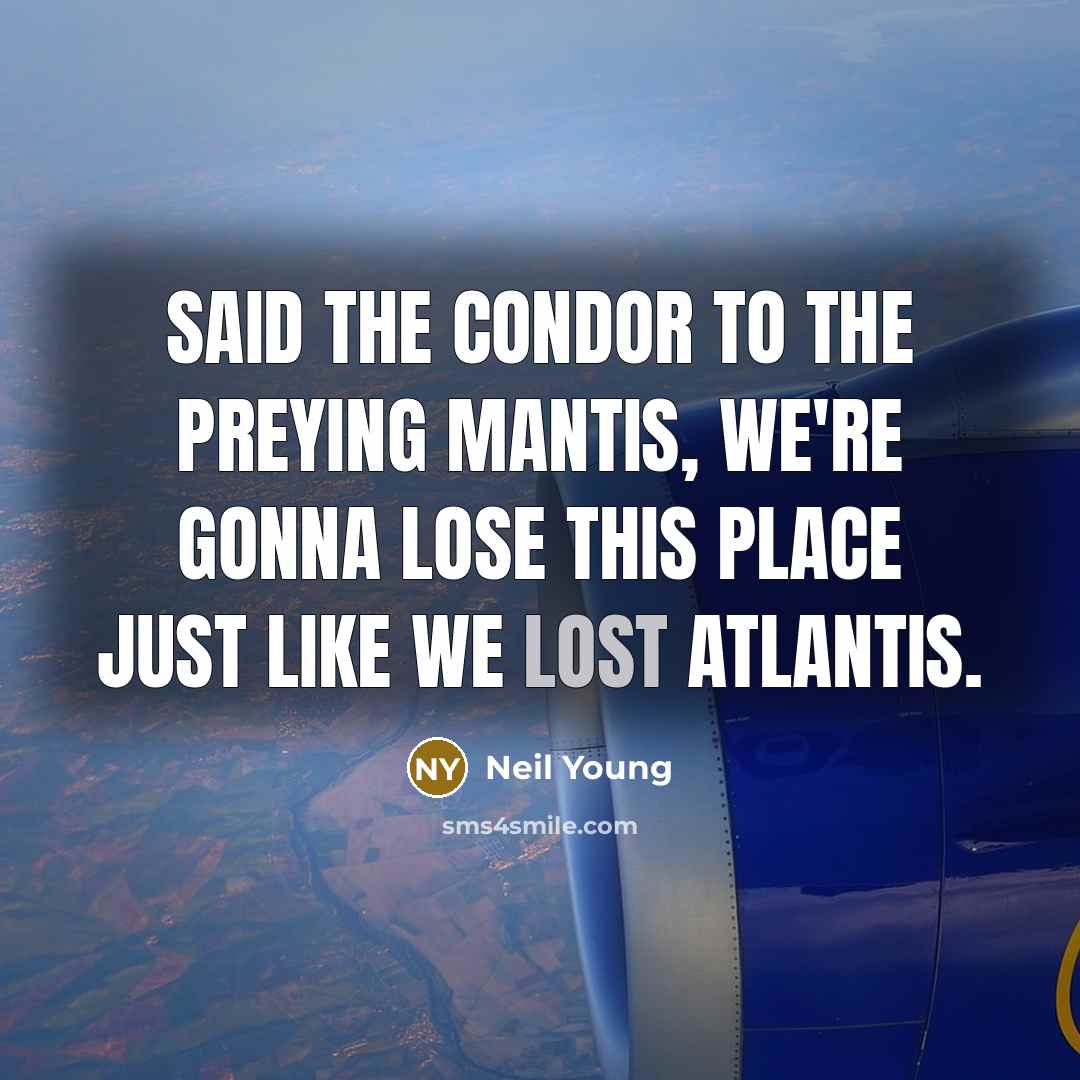 “Said the condor to the preying mantis, we're gonna lose…” quote by Neil Young