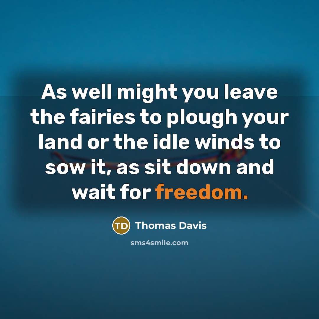 “As well might you leave the fairies to plough your…” quote by Thomas Davis