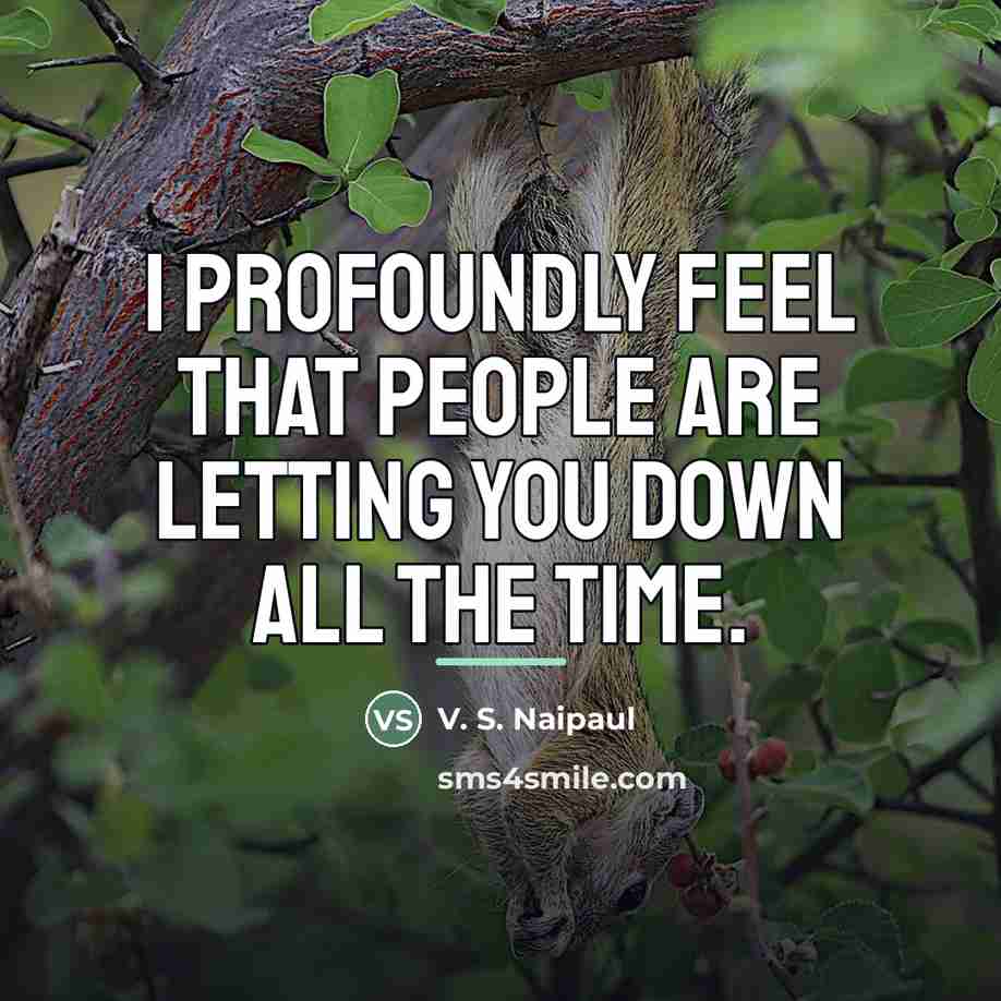 “I profoundly feel that people are letting you down all…” quote by V. S. Naipaul