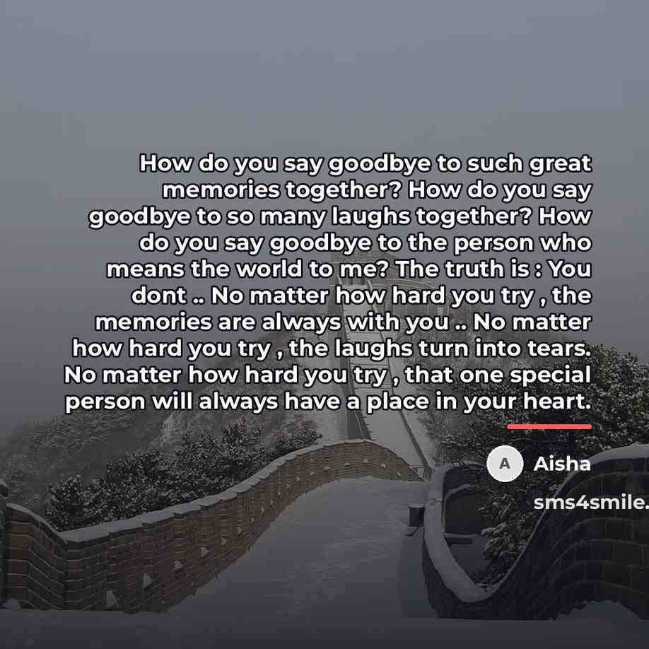 “How do you say goodbye to such great memories together?…” quote by Aisha