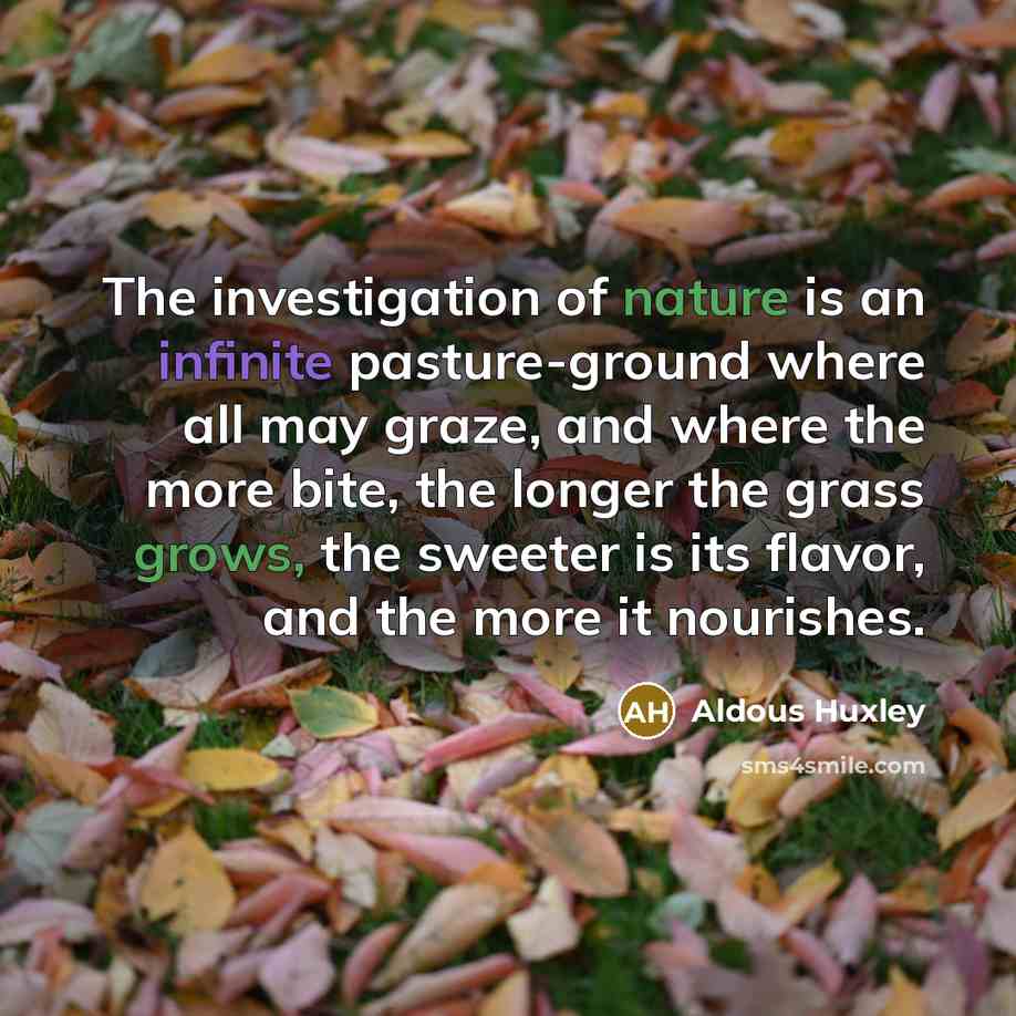 “The investigation of nature is an infinite pasture-ground where all…” quote by Aldous Huxley