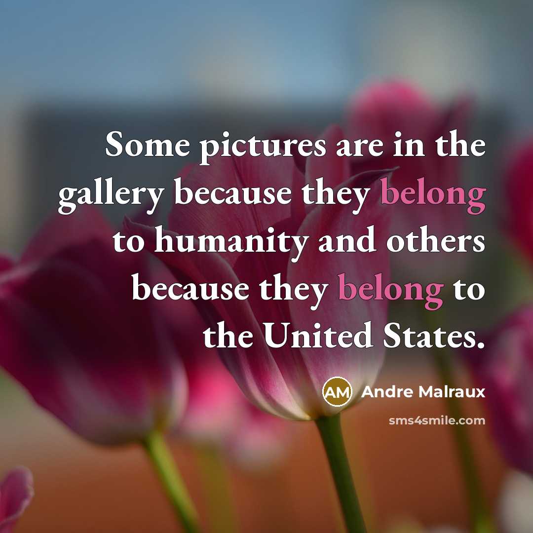 “Some pictures are in the gallery because they belong to…” quote by Andre Malraux