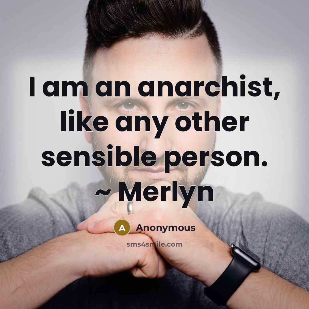 “I am an anarchist, like any other sensible person. ~…” quote by Anonymous