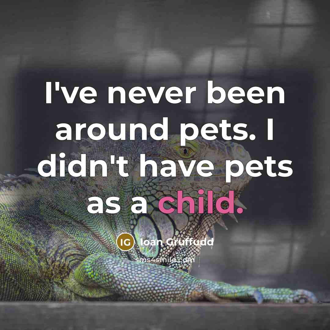 “I've never been around pets. I didn't have pets as a child.” quote by Ioan Gruffudd