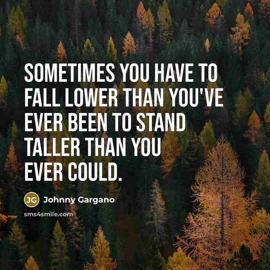 “Sometimes you have to fall lower than you've ever been…” quote by Johnny Gargano