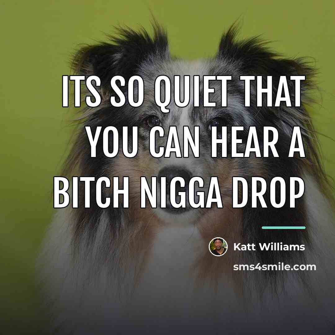“Its so quiet that you can hear a bitch nigga…” quote by Katt Williams