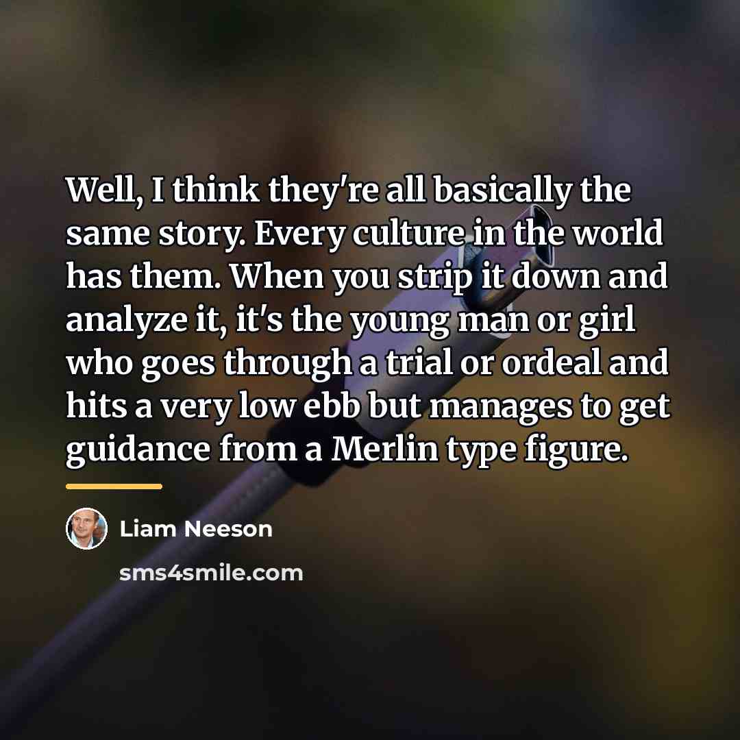 “Well, I think they're all basically the same story. Every…” quote by Liam Neeson