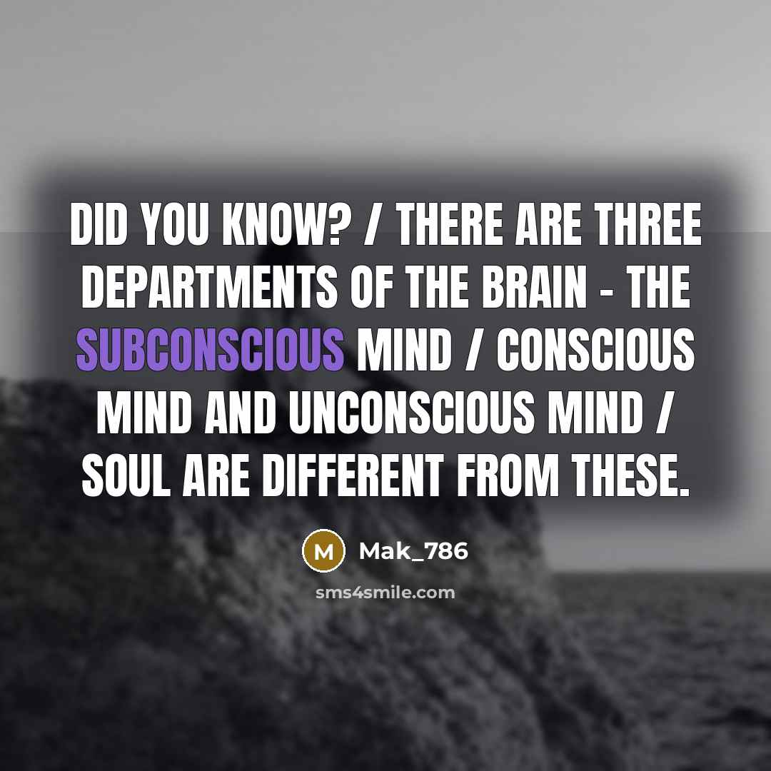 “Did you know? / There are three departments of the…” quote by Mak_786