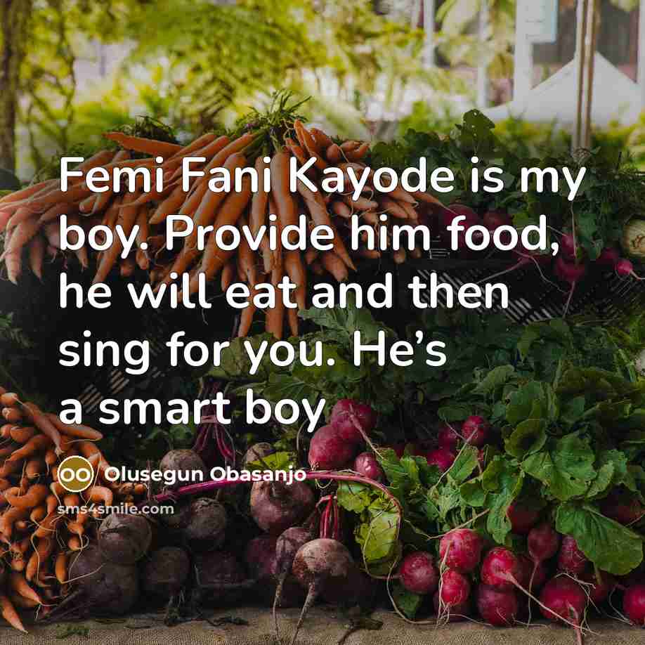 “Femi Fani Kayode is my boy. Provide him food, he…” quote by Olusegun Obasanjo