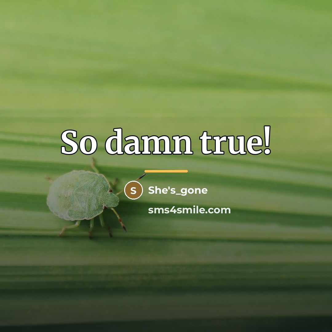 “So damn true!…” quote by She's_gone