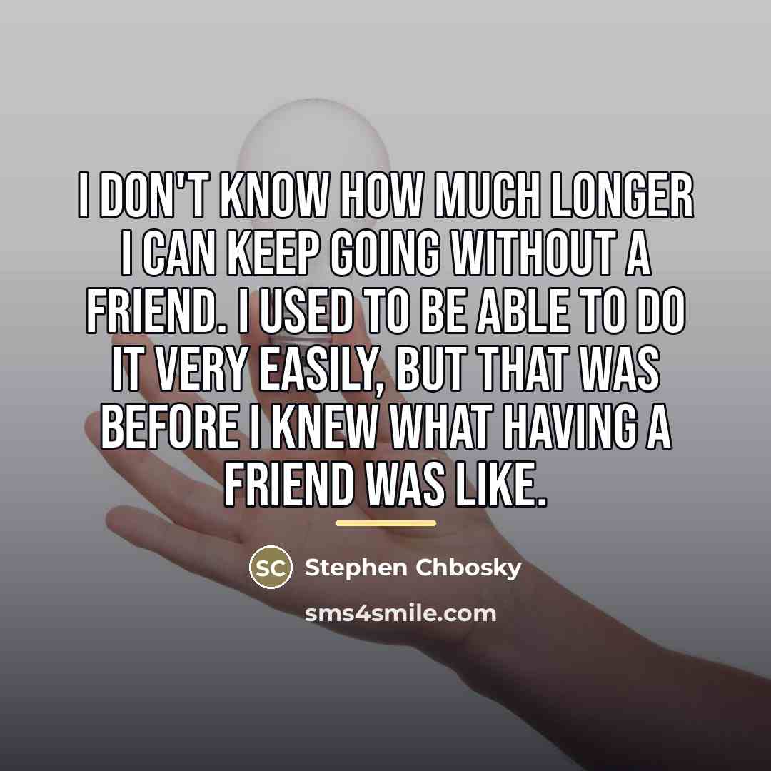 “I don't know how much longer I can keep going…” quote by Stephen Chbosky