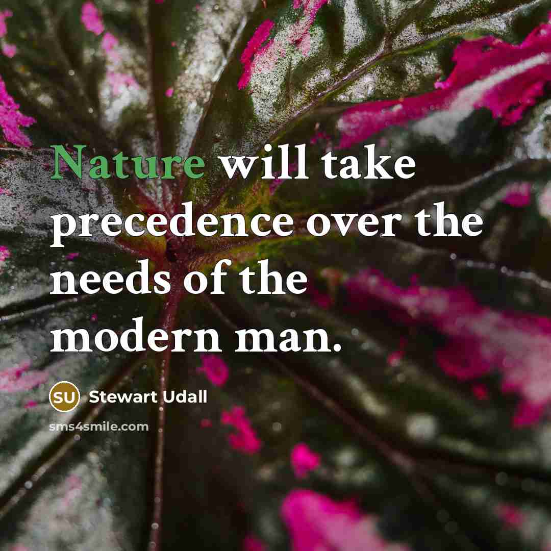 “Nature will take precedence over the needs of the modern…” quote by Stewart Udall