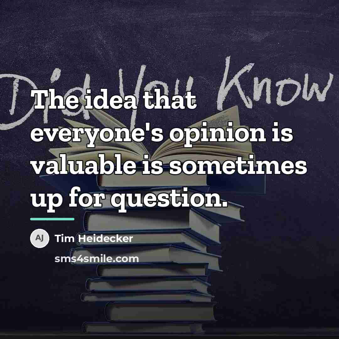 “The idea that everyone's opinion is valuable is sometimes up…” quote by Tim Heidecker