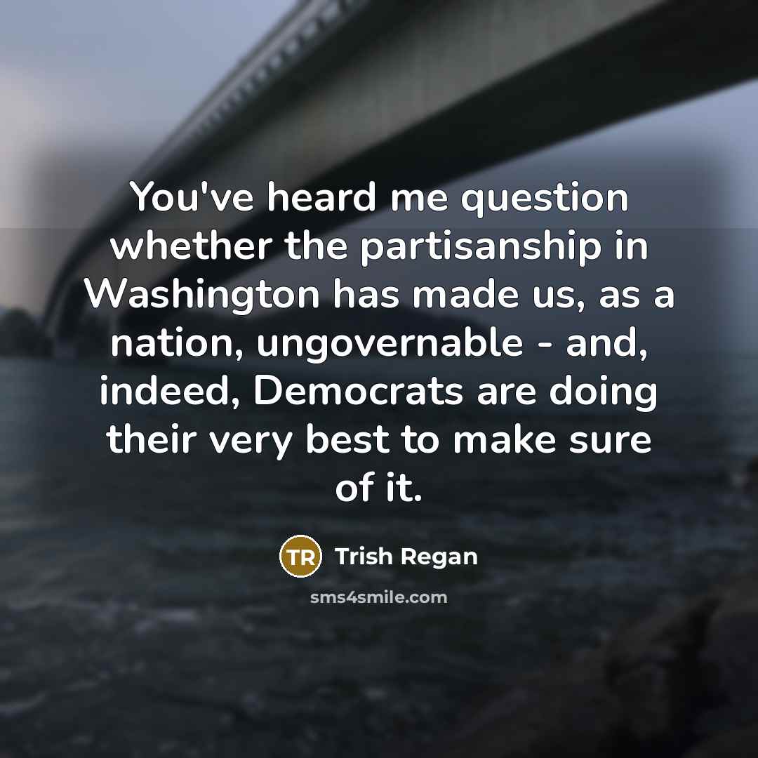 “You've heard me question whether the partisanship in Washington has…” quote by Trish Regan