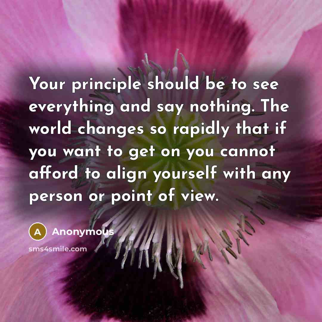 “Your principle should be to see everything and say nothing. The world changes so rapidly that if you want to get on you cannot afford to align yourself with any person or point of view.” quote by Anonymous