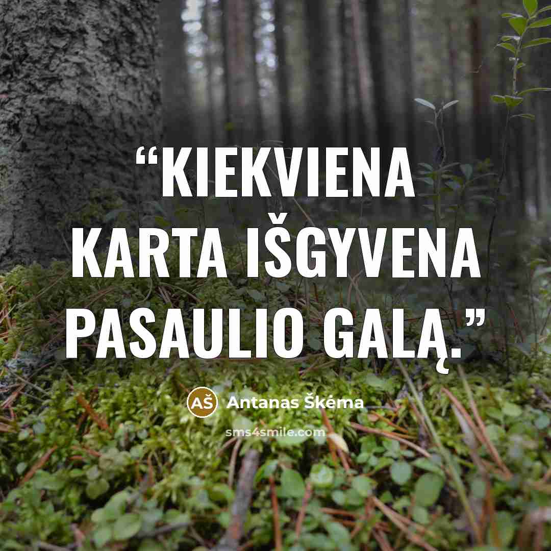 “Kiekviena karta išgyvena pasaulio galą.” quote by Antanas Škėma