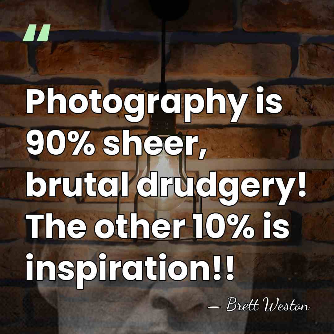 Photography is 90% sheer, brutal drudgery! The other 10% is inspiration!! - Brett Weston