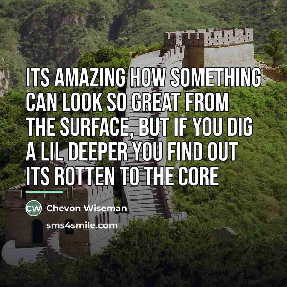 “Its amazing how something can look so great from the…” quote by Chevon Wiseman