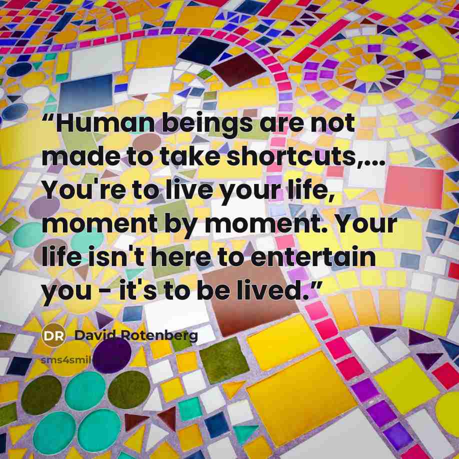 “Human beings are not made to take shortcuts,... You're to live your life, moment by moment. Your life isn't here to entertain you - it's to be lived.” quote by David Rotenberg