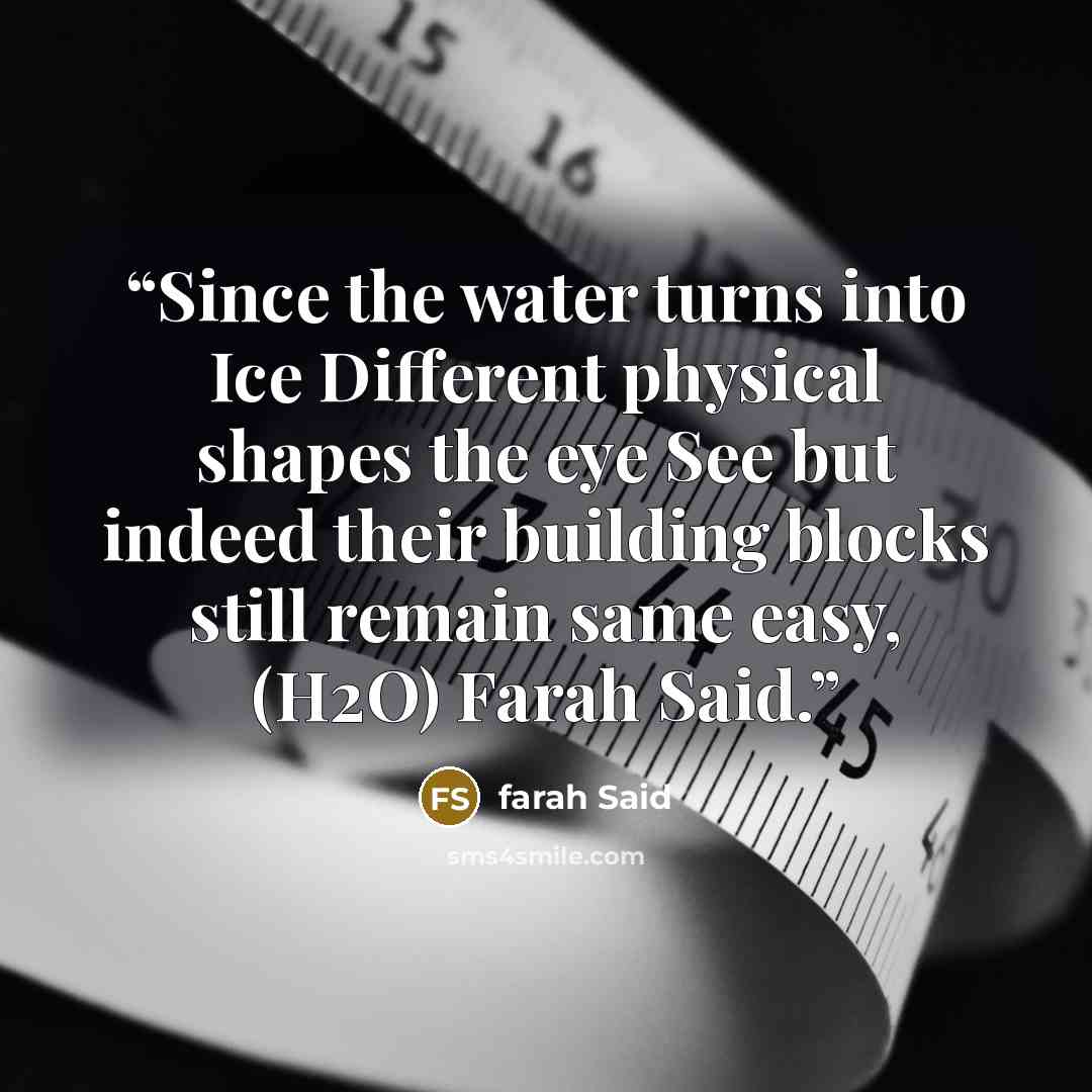 “Since the water turns into Ice Different physical shapes the eye See but indeed their building blocks still remain same easy, (H2O) Farah Said.” quote by farah Said