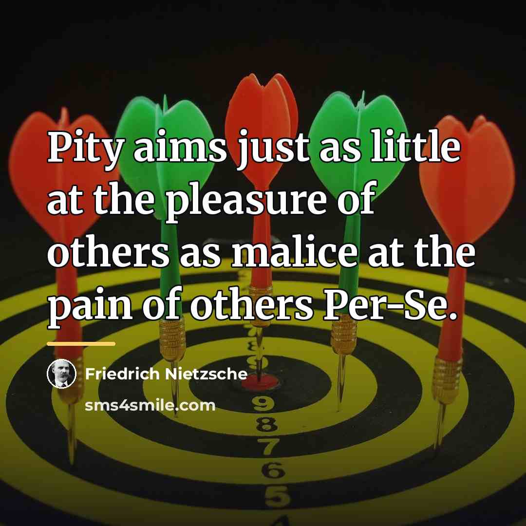 “Pity aims just as little at the pleasure of others…” quote by Friedrich Nietzsche