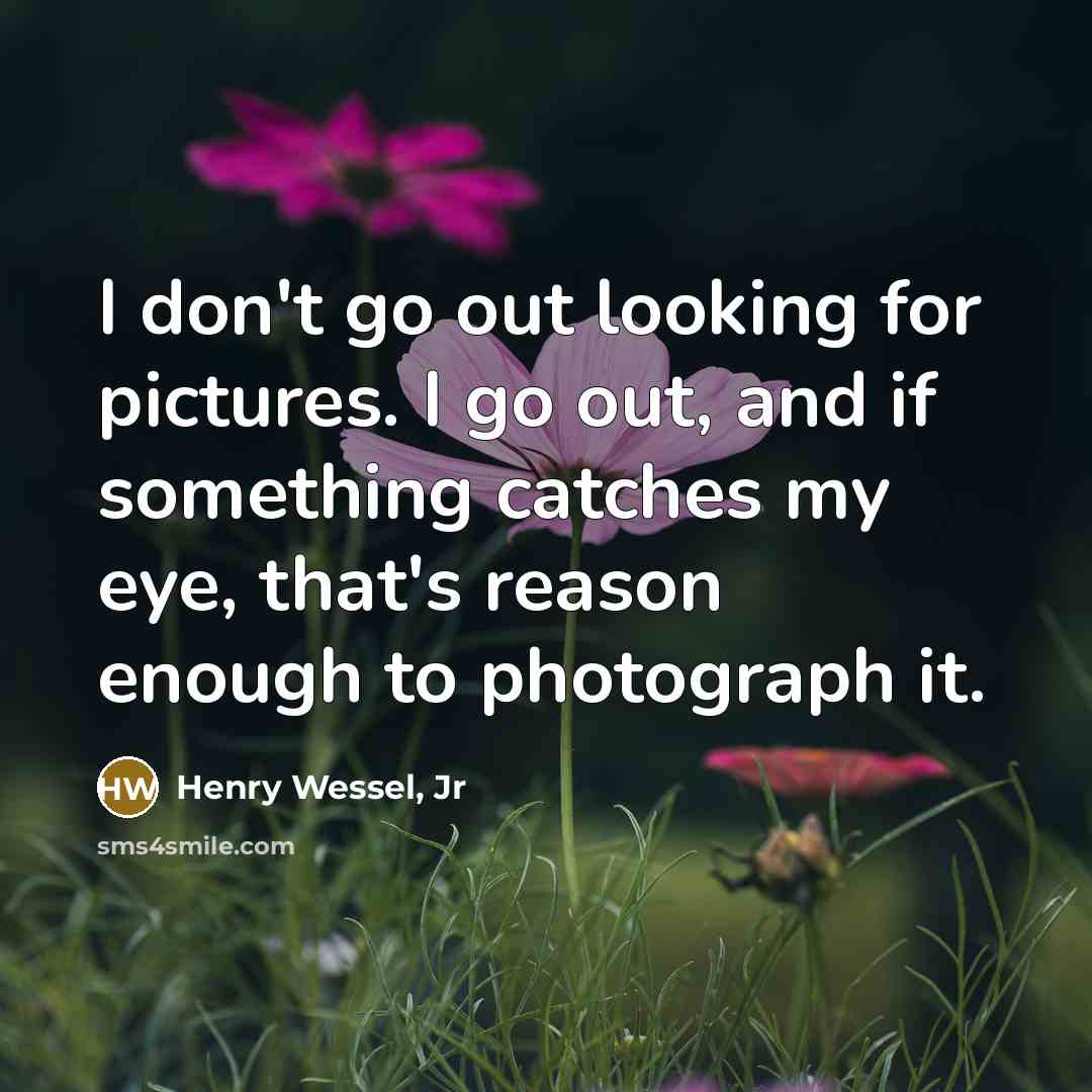“I don't go out looking for pictures. I go out,…” quote by Henry Wessel, Jr