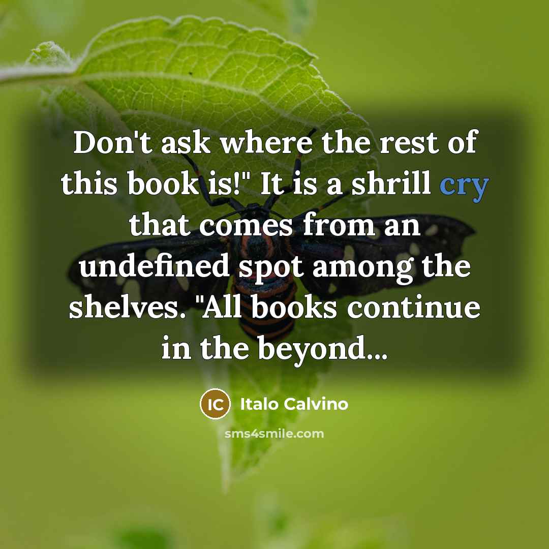 “Don't ask where the rest of this book is!" It…” quote by Italo Calvino